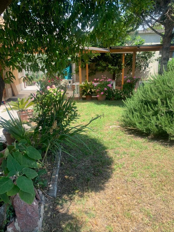 Casa Violetta Bed & Breakfast Marina di Massa Zewnętrze zdjęcie