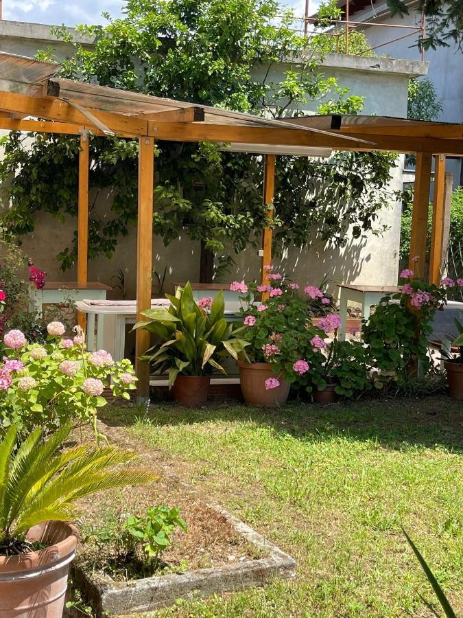 Casa Violetta Bed & Breakfast Marina di Massa Zewnętrze zdjęcie